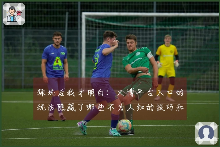 踩坑后我才明白：火博平台入口的玩法隐藏了哪些不为人知的技巧和陷阱？