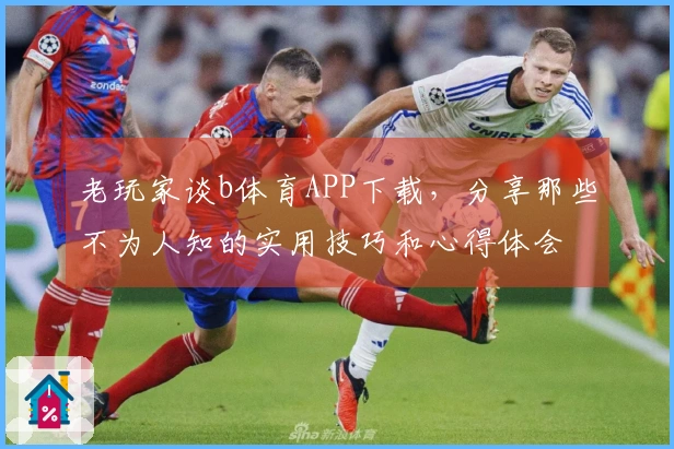老玩家谈b体育APP下载，分享那些不为人知的实用技巧和心得体会